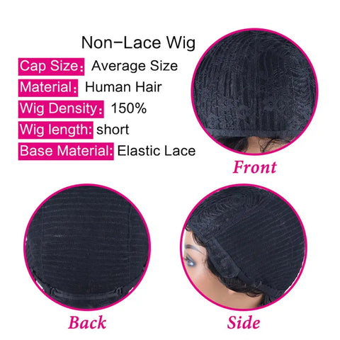 Image of Kinky Curly Wigs Short Wigs Black Women Human Hair-FrenzyAfricanFashion.com