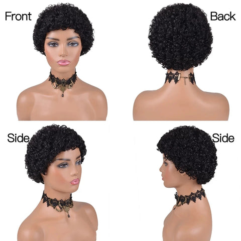 Image of Kinky Curly Wigs Short Wigs Black Women Human Hair-FrenzyAfricanFashion.com