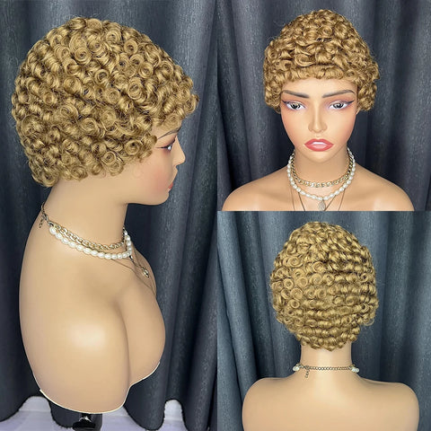 Image of Kinky Curly Wigs Short Wigs Black Women Human Hair-FrenzyAfricanFashion.com
