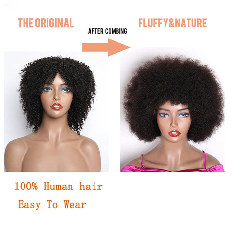 Image of Mongolian Afro Kinky Curly Human Hair Wigs Short Pixie Curl-FrenzyAfricanFashion.com