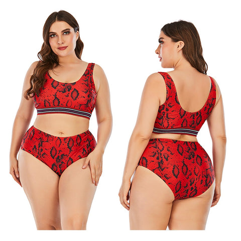Image of Women Push Up Bikinis Set Swimwear Plus Size High Waist Swimsuit Beachwear-FrenzyAfricanFashion.com