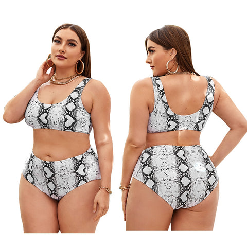 Image of Women Push Up Bikinis Set Swimwear Plus Size High Waist Swimsuit Beachwear-FrenzyAfricanFashion.com