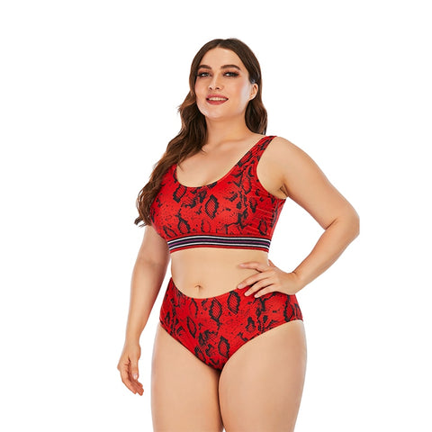 Image of Women Push Up Bikinis Set Swimwear Plus Size High Waist Swimsuit Beachwear-FrenzyAfricanFashion.com