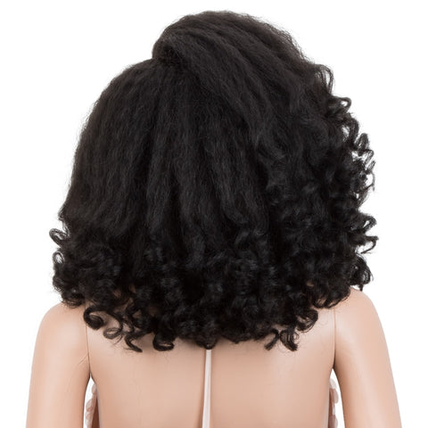 Image of Lace Front Wig African American Hair 14 inch Kinky Curly Hair-FrenzyAfricanFashion.com